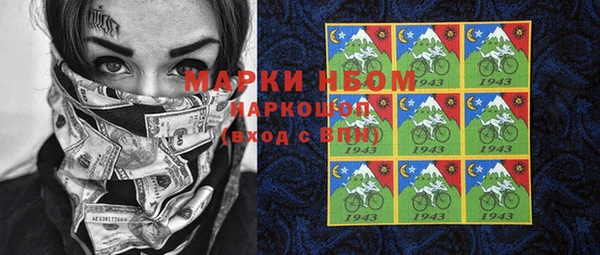 стаф Алексин