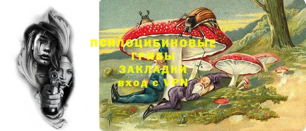 ГАЛЛЮЦИНОГЕННЫЕ ГРИБЫ Алзамай